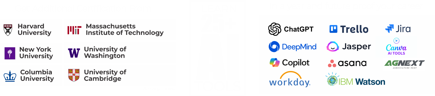 Online BBA Degree Program in India